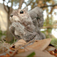 Illustration for article titled MechaSquirrel Leads BioSquirrels to Victory Over the Humans